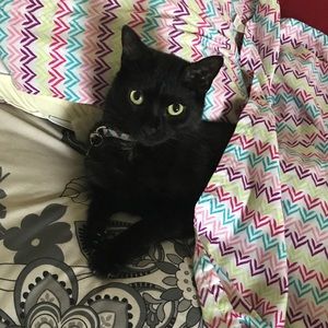 Meet your Posher, Rachel